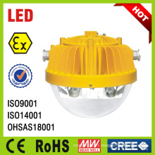 25W 40W 60W LED Explosion Proof Platform Light (BC9302)